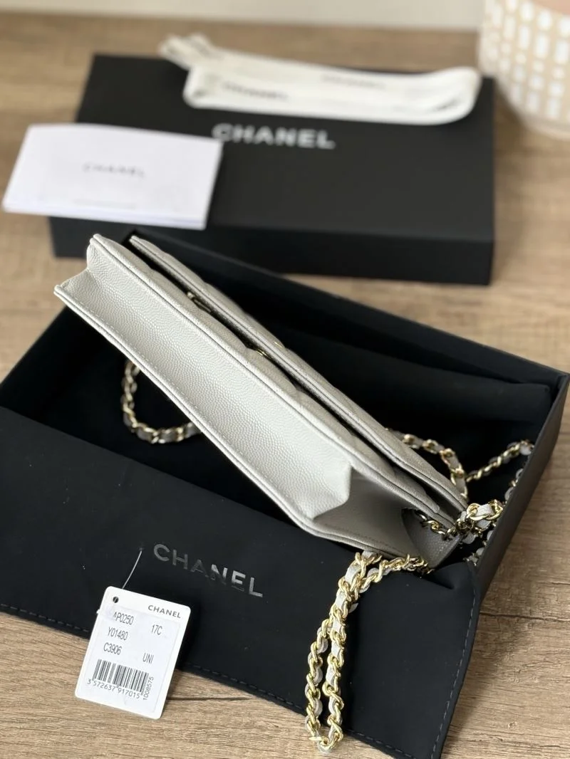 TechFriendly Chanel Woc Bags 52025