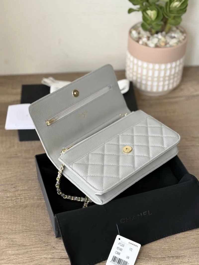 TechFriendly Chanel Woc Bags 52025