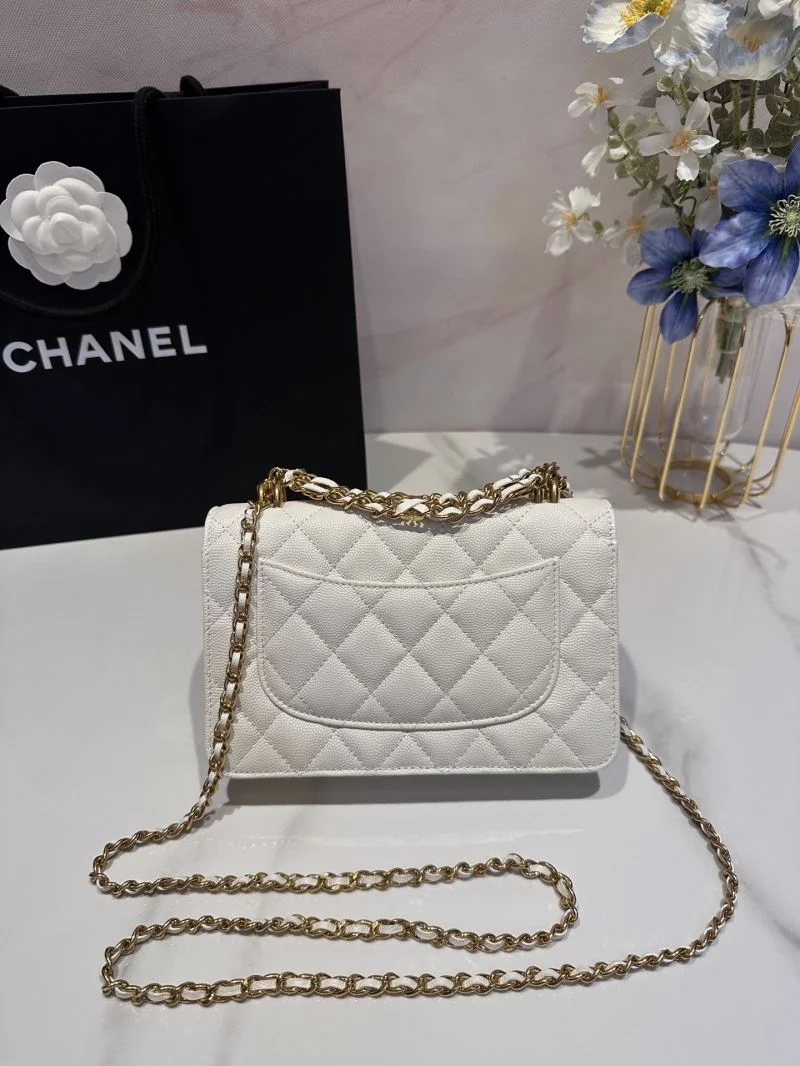 Durable Chanel Woc Bags 52031