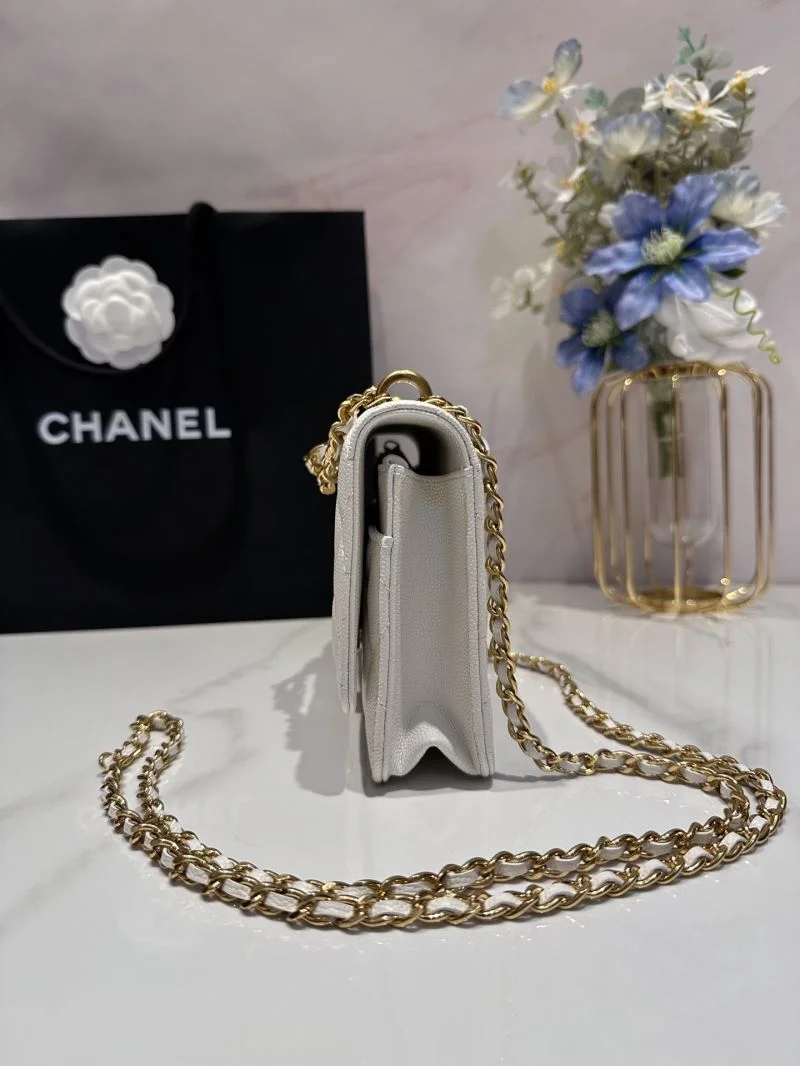 Durable Chanel Woc Bags 52031