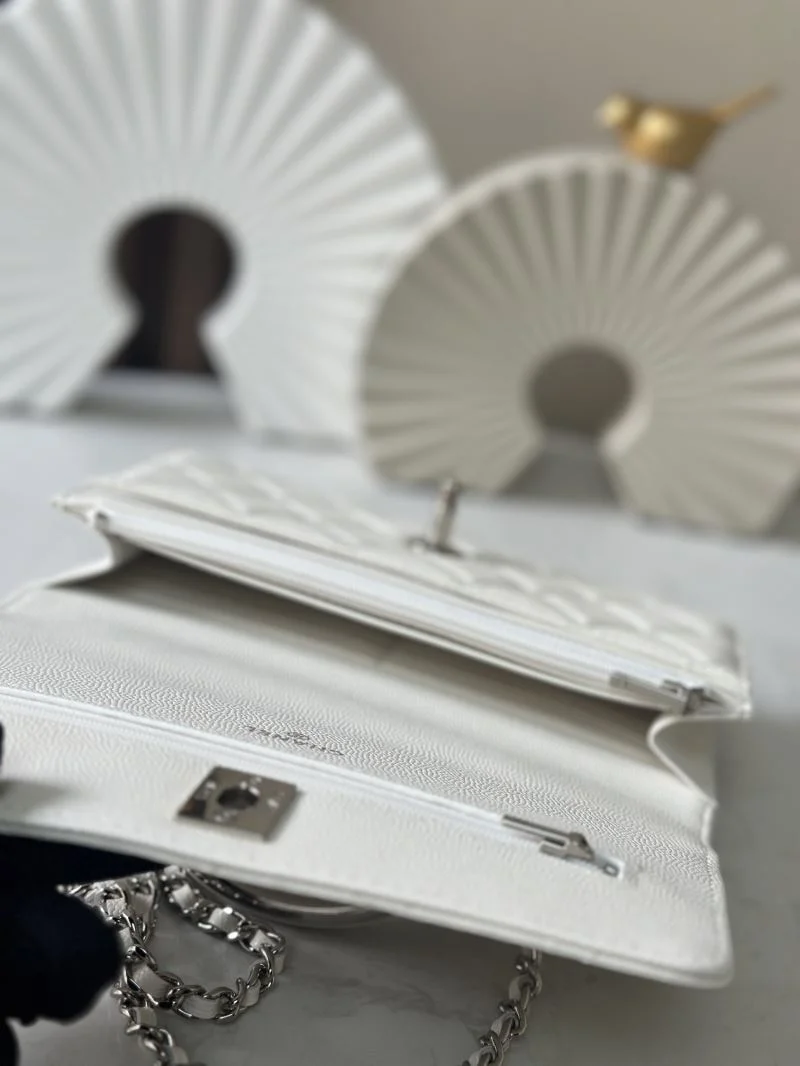 EyeCatching Chanel Woc Bags 52017