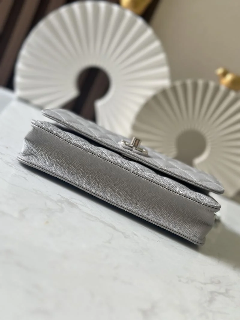 Chanel Woc Bags Neat 52014