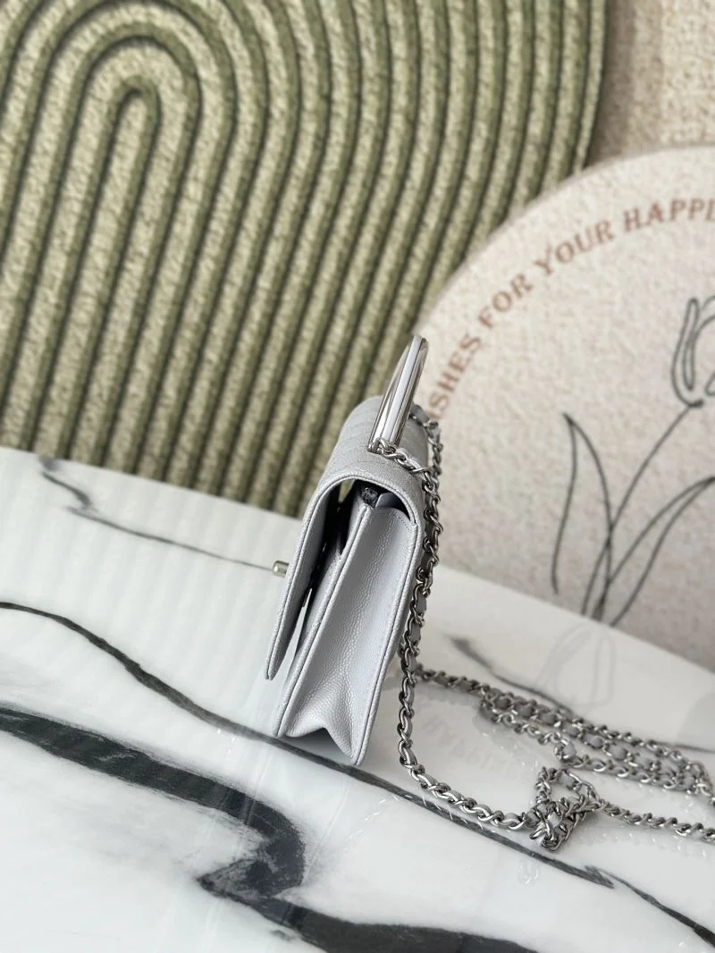 Chanel Woc Bags BestValue 51983