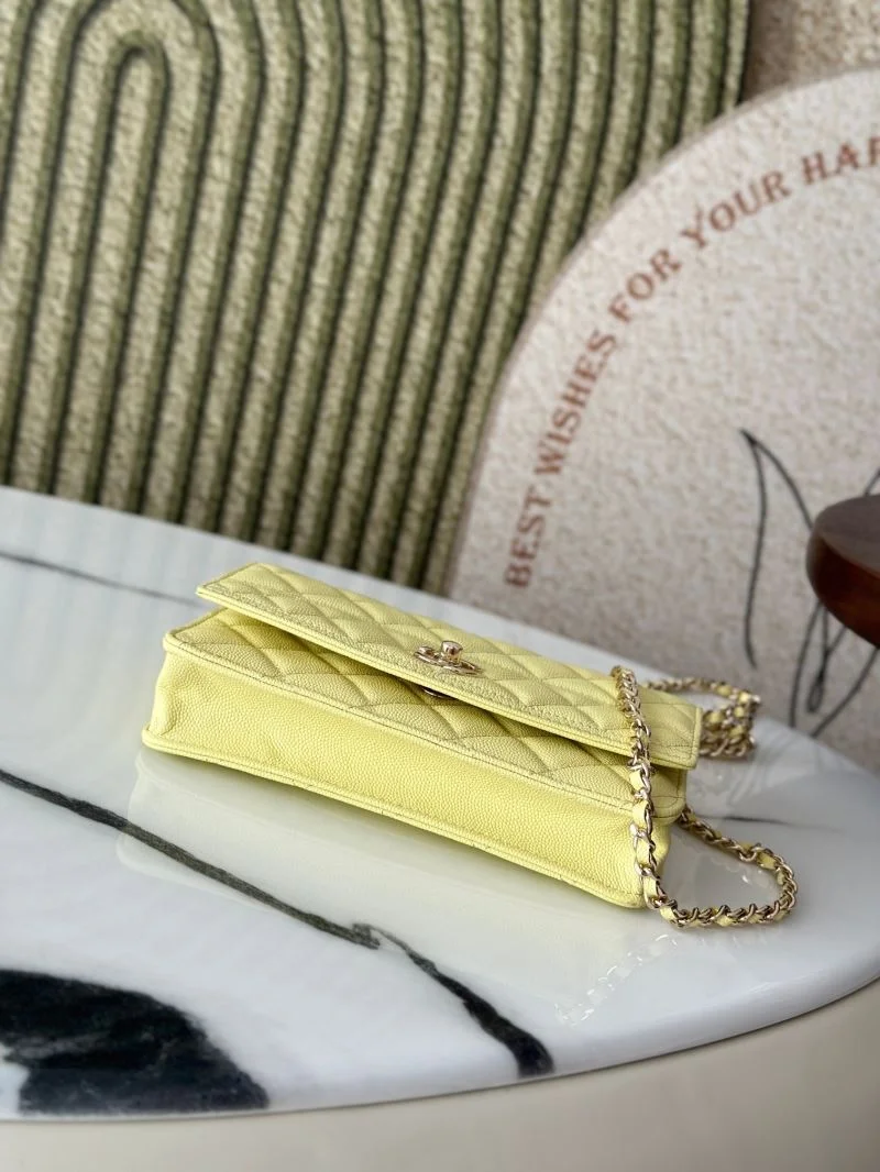 Stylish Chanel Woc Bags 51978