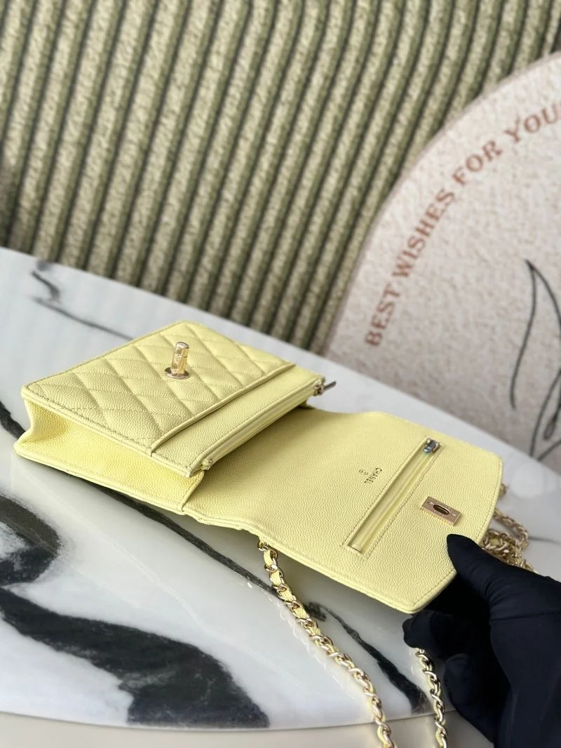 Stylish Chanel Woc Bags 51978
