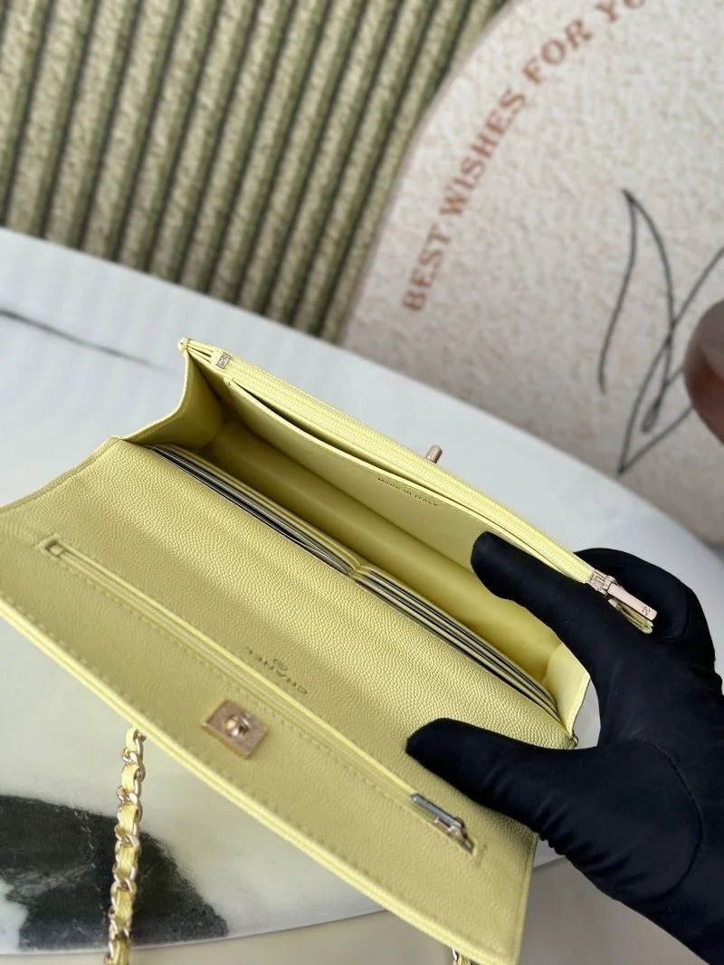 Stylish Chanel Woc Bags 51978