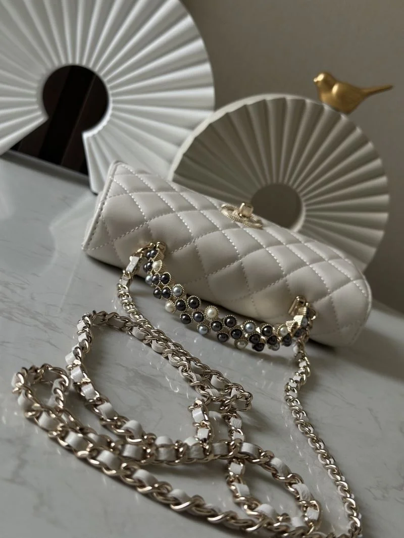 Refined Chanel Woc Bags 51973