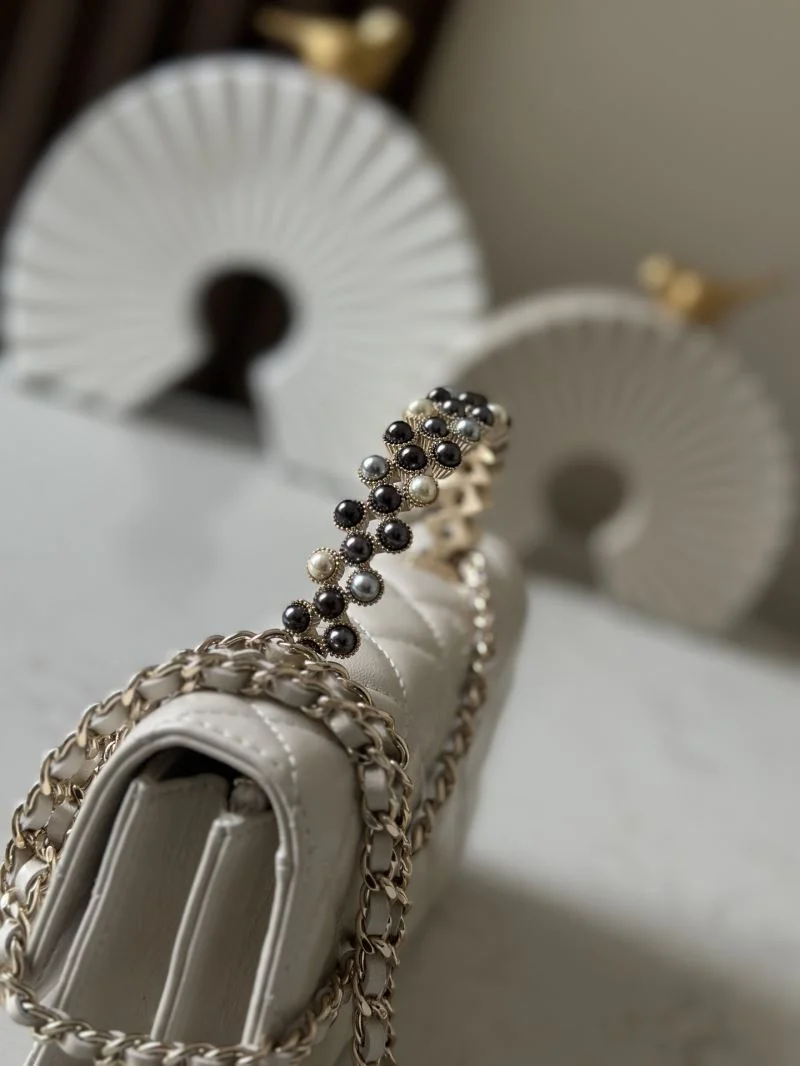 Refined Chanel Woc Bags 51973