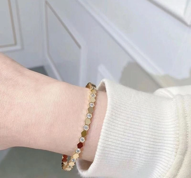 EasyCare Chaumet Bracelets 214015