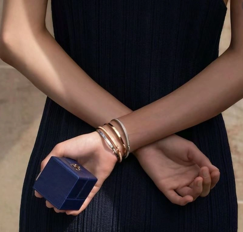 Chaumet Bracelets HighPerformance 213530
