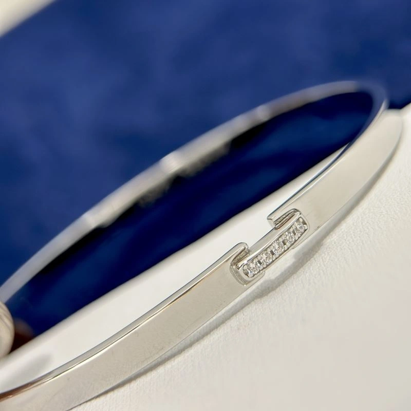 Chaumet Bracelets HighPerformance 213530