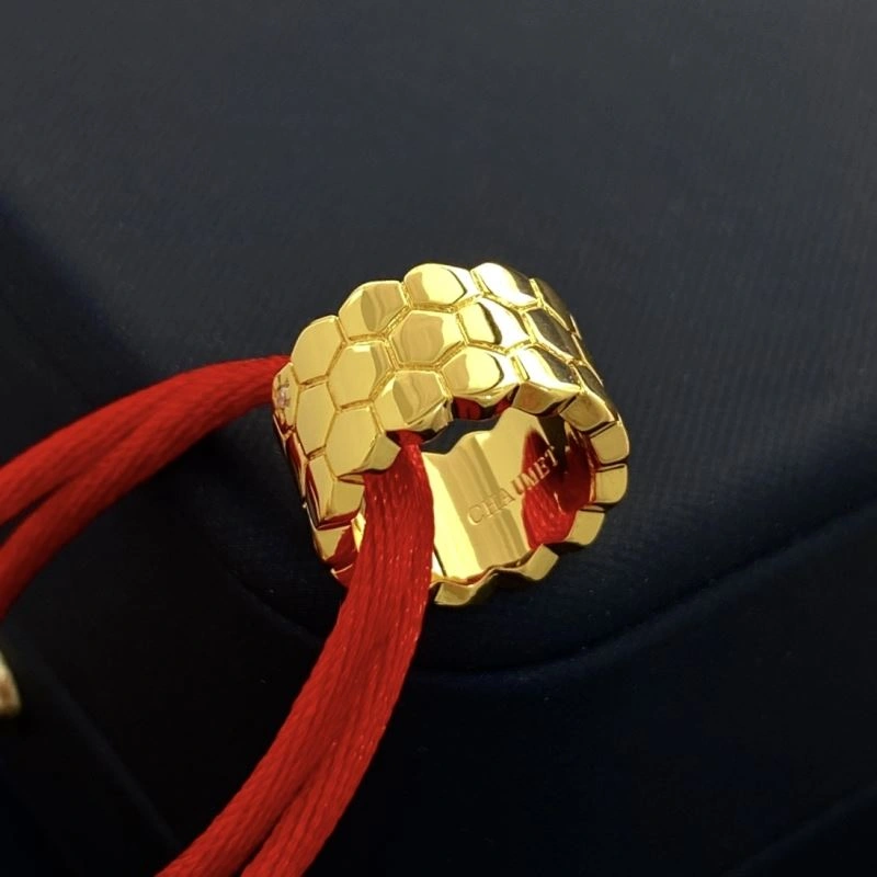 Chaumet Bracelets Flexible 213114