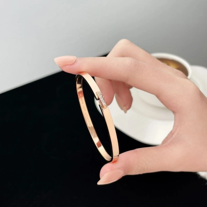 Chaumet Bracelets NewStyle 213111