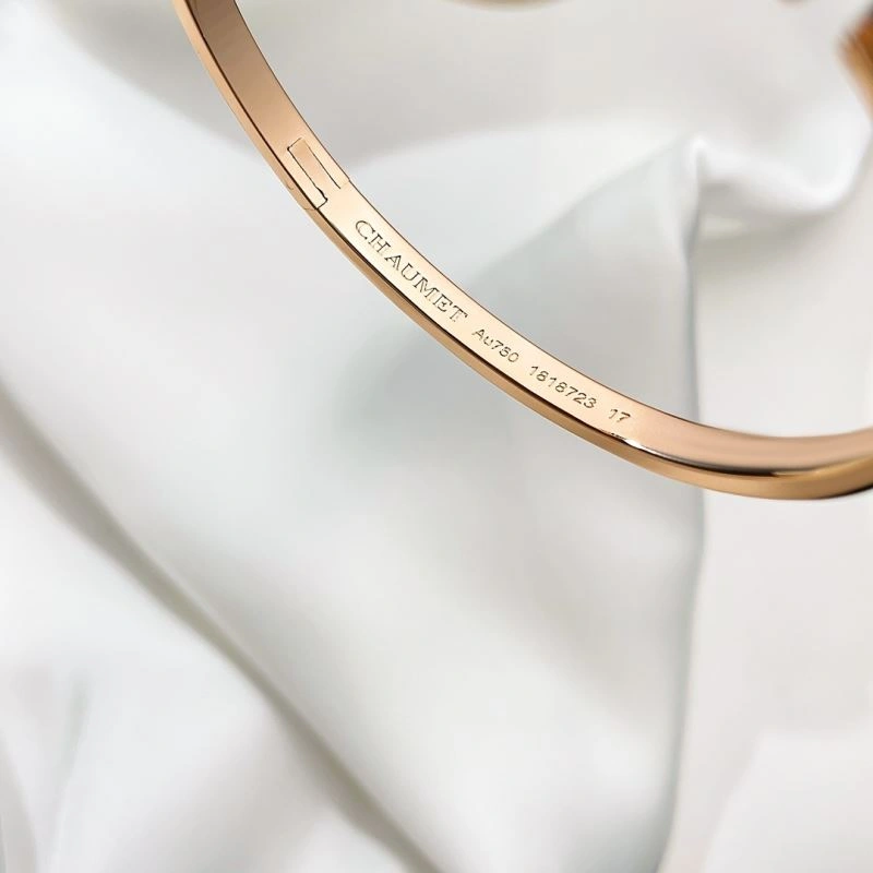 Chaumet Bracelets NewStyle 213111