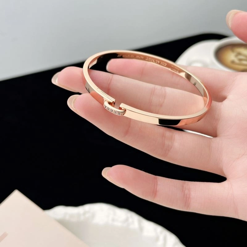Chaumet Bracelets NewStyle 213111
