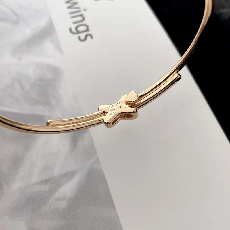 ZeroBulk Chaumet Bracelets 213117