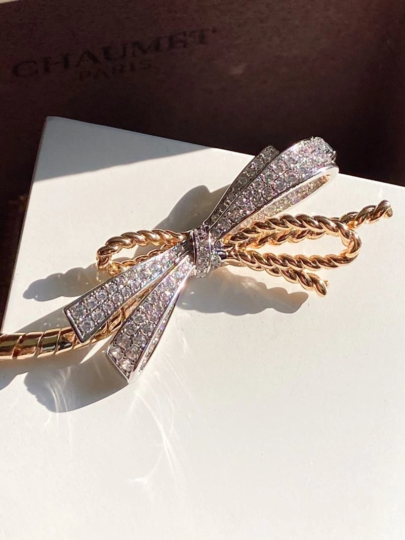 TechFriendly Chaumet Bracelets 213120