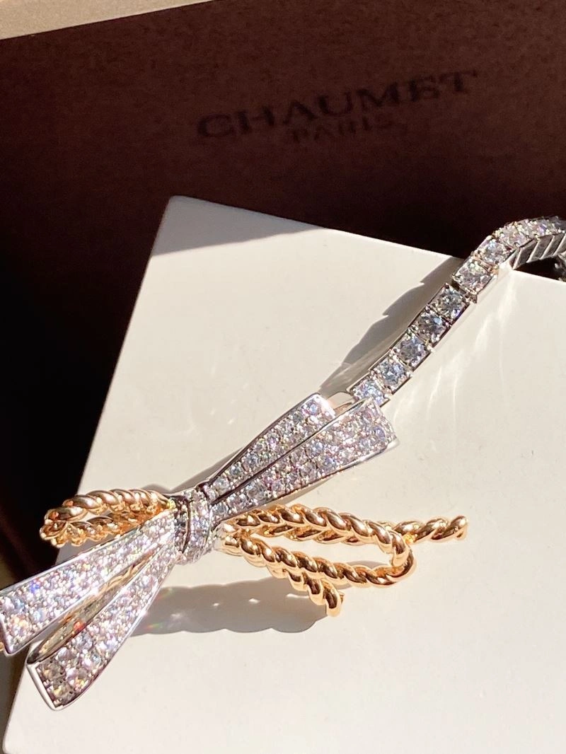TechFriendly Chaumet Bracelets 213120