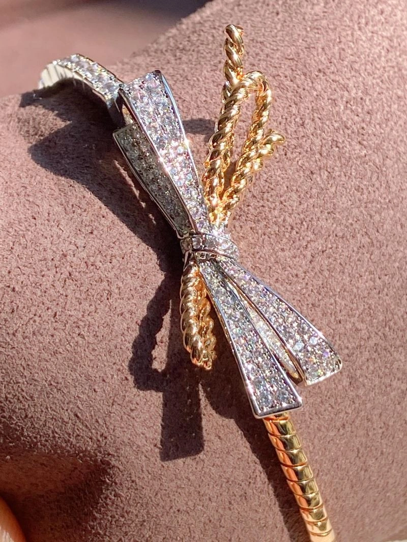 TechFriendly Chaumet Bracelets 213120