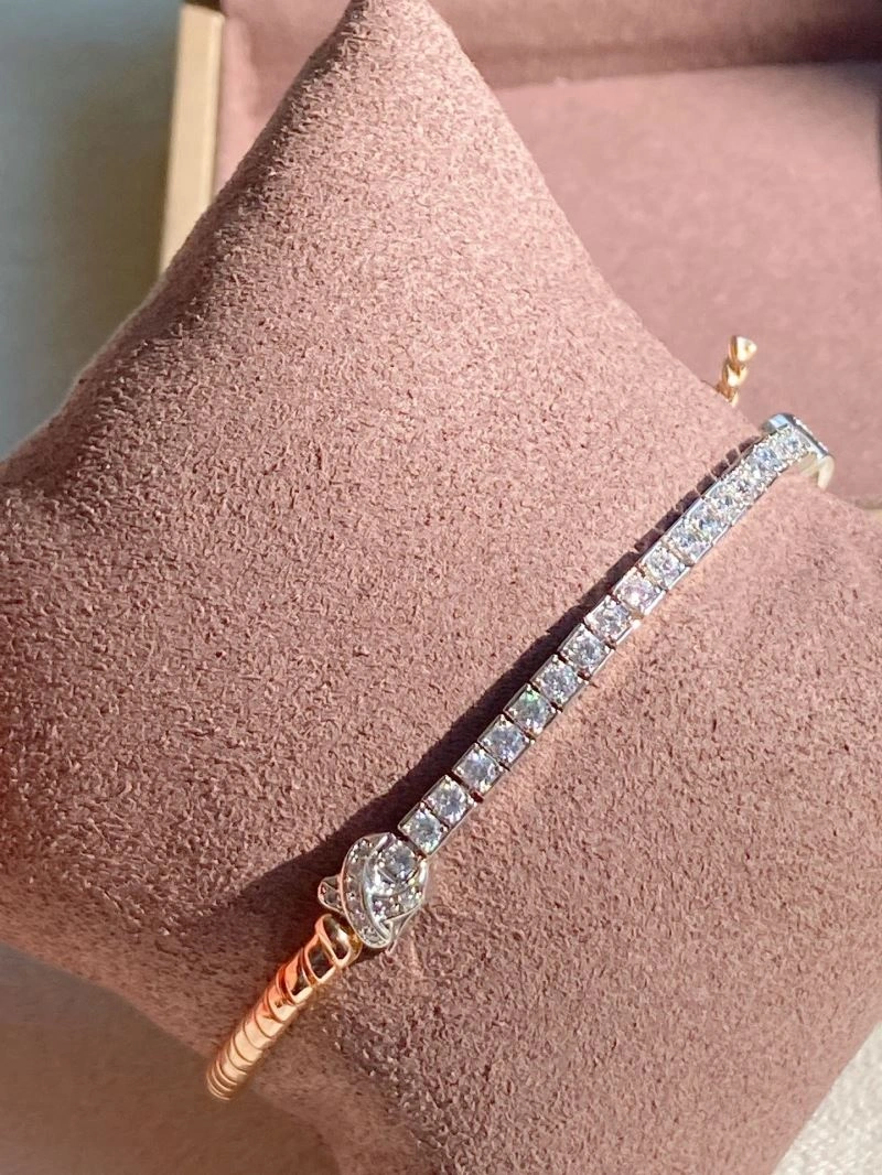 TechFriendly Chaumet Bracelets 213120