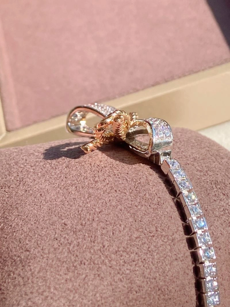 TechFriendly Chaumet Bracelets 213120