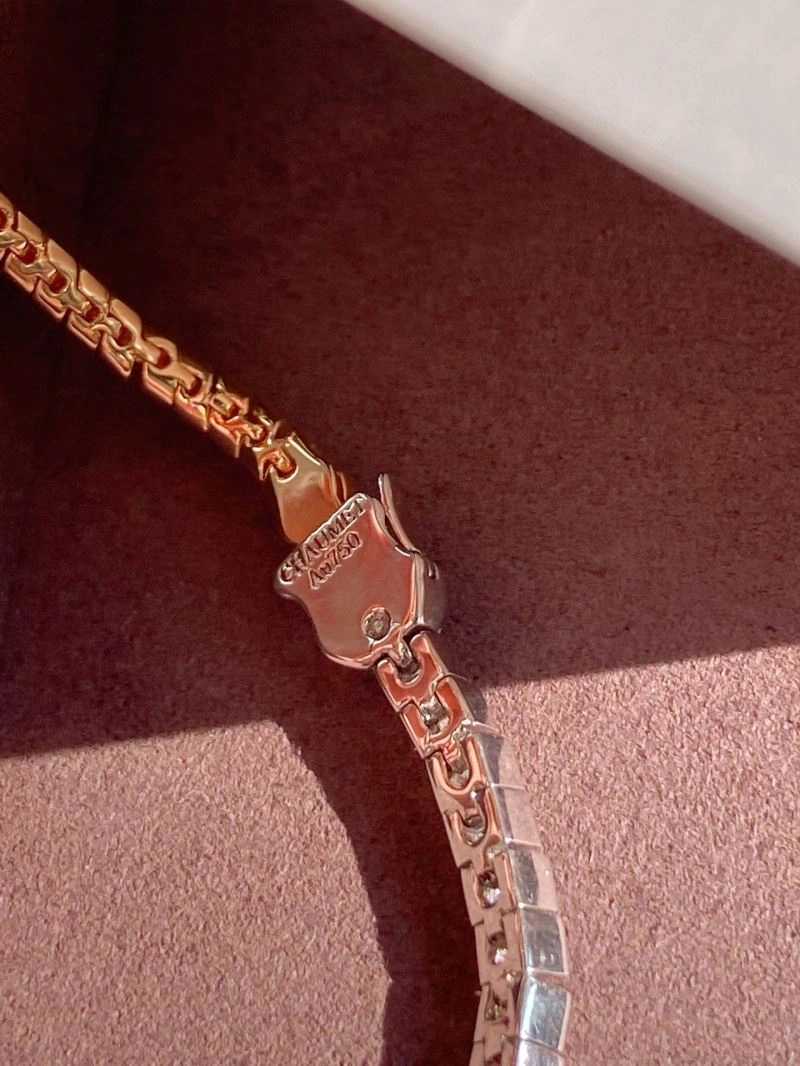 TechFriendly Chaumet Bracelets 213120