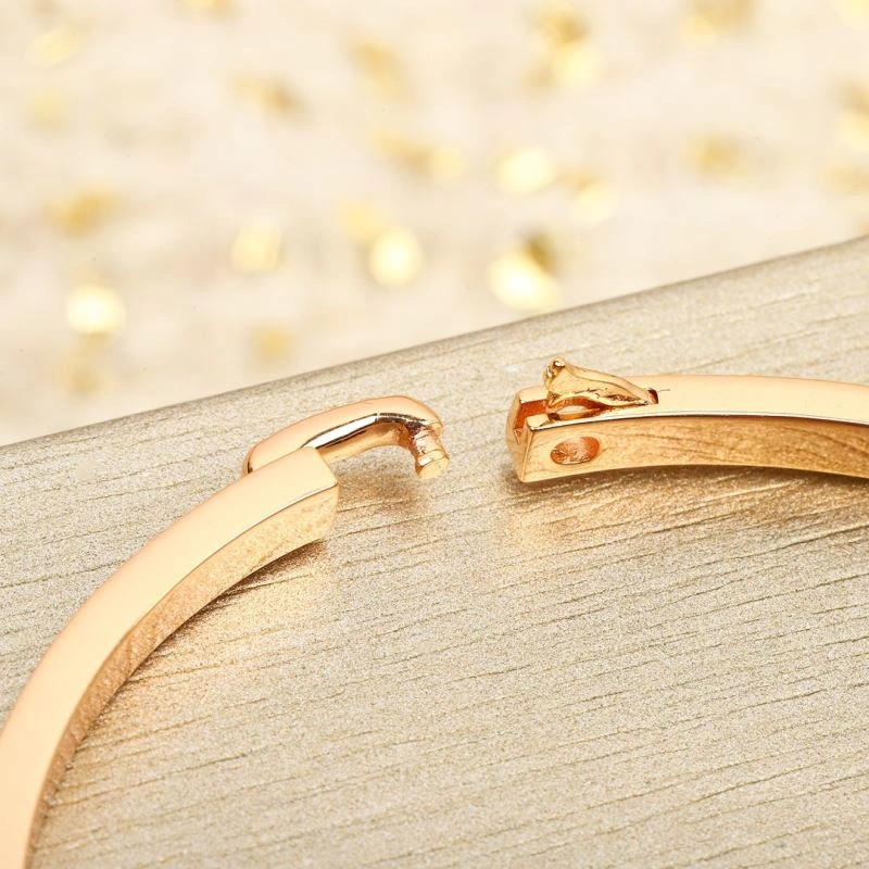 EasyMatch Chaumet Bracelets 212673