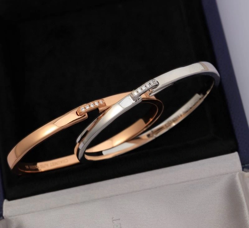Chaumet Bracelets TimelessDesign 212669
