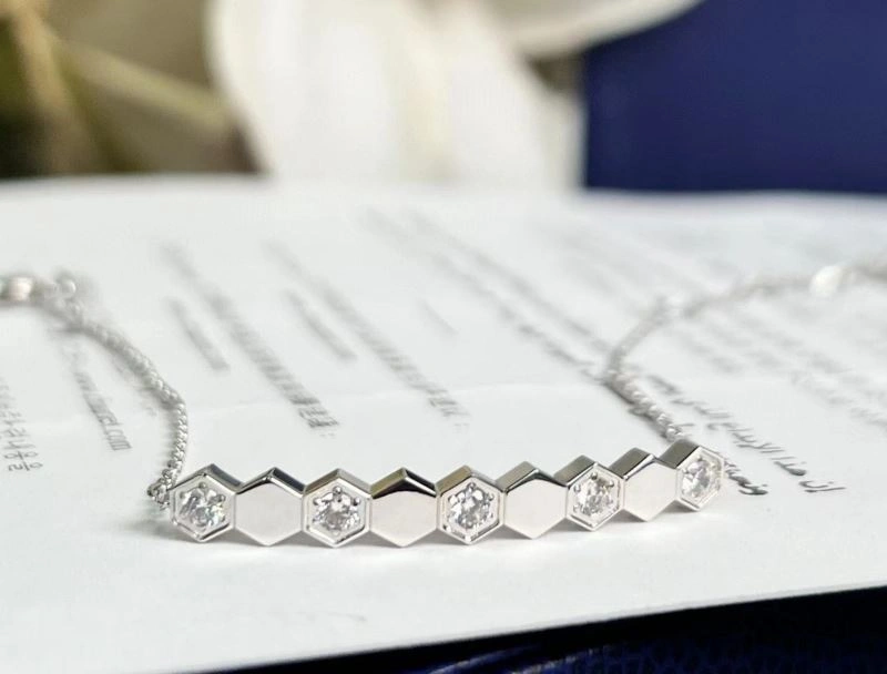 Chaumet Bracelets EasyCare 211411