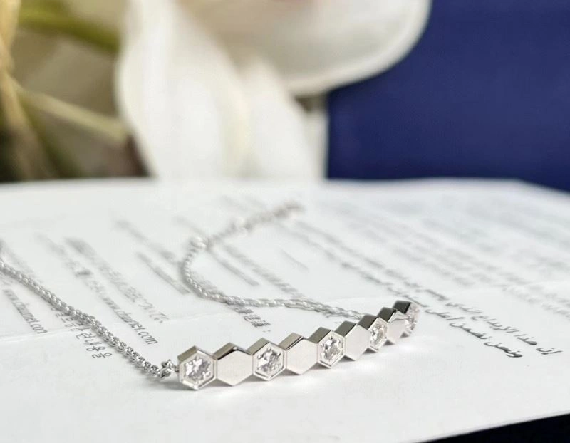Chaumet Bracelets EasyCare 211411