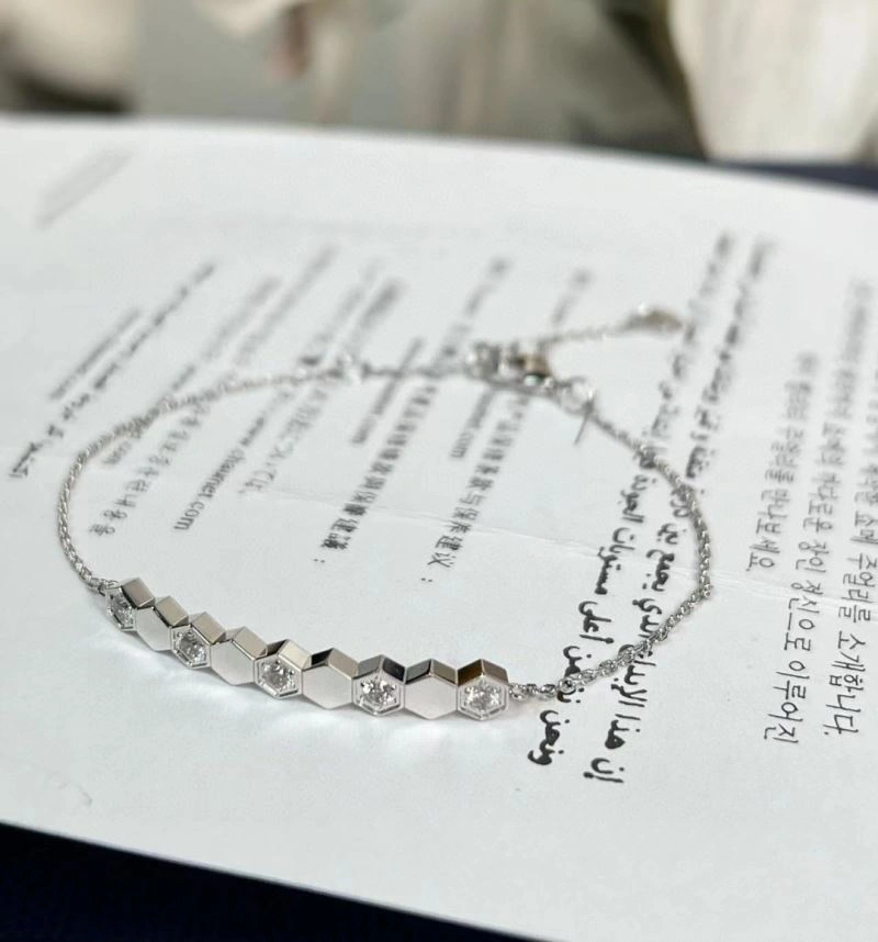 Chaumet Bracelets EasyCare 211411