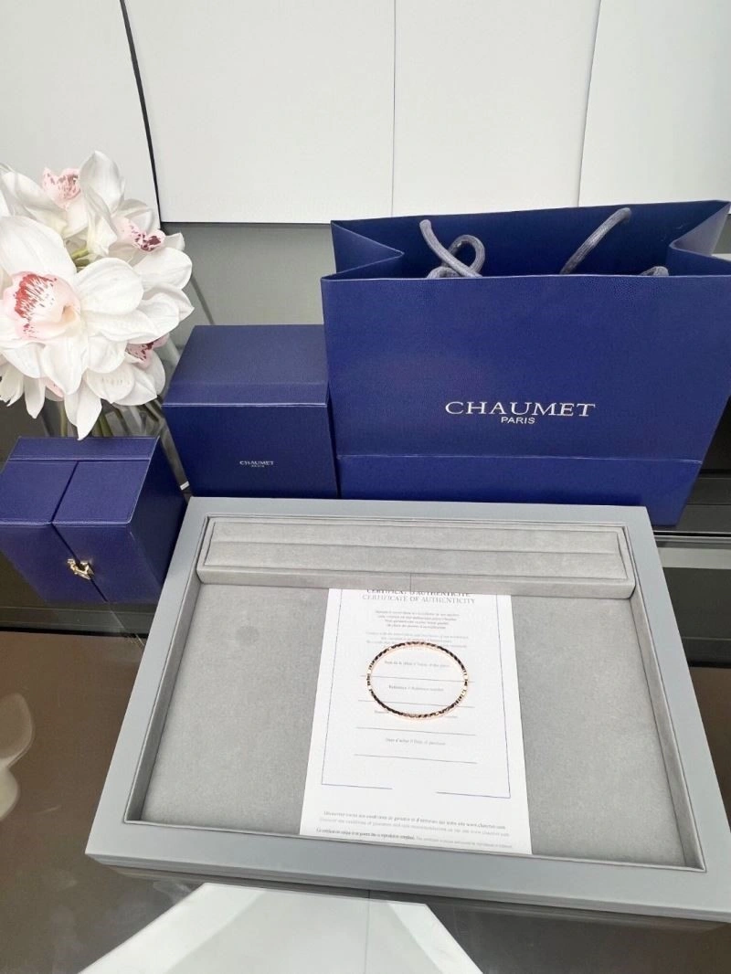Chaumet Bracelets WeatherProof 210878