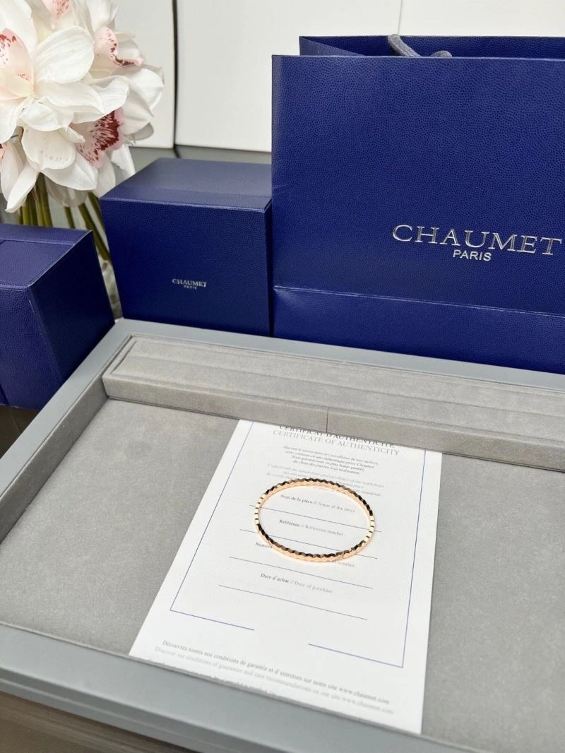 Chaumet Bracelets WeatherProof 210878