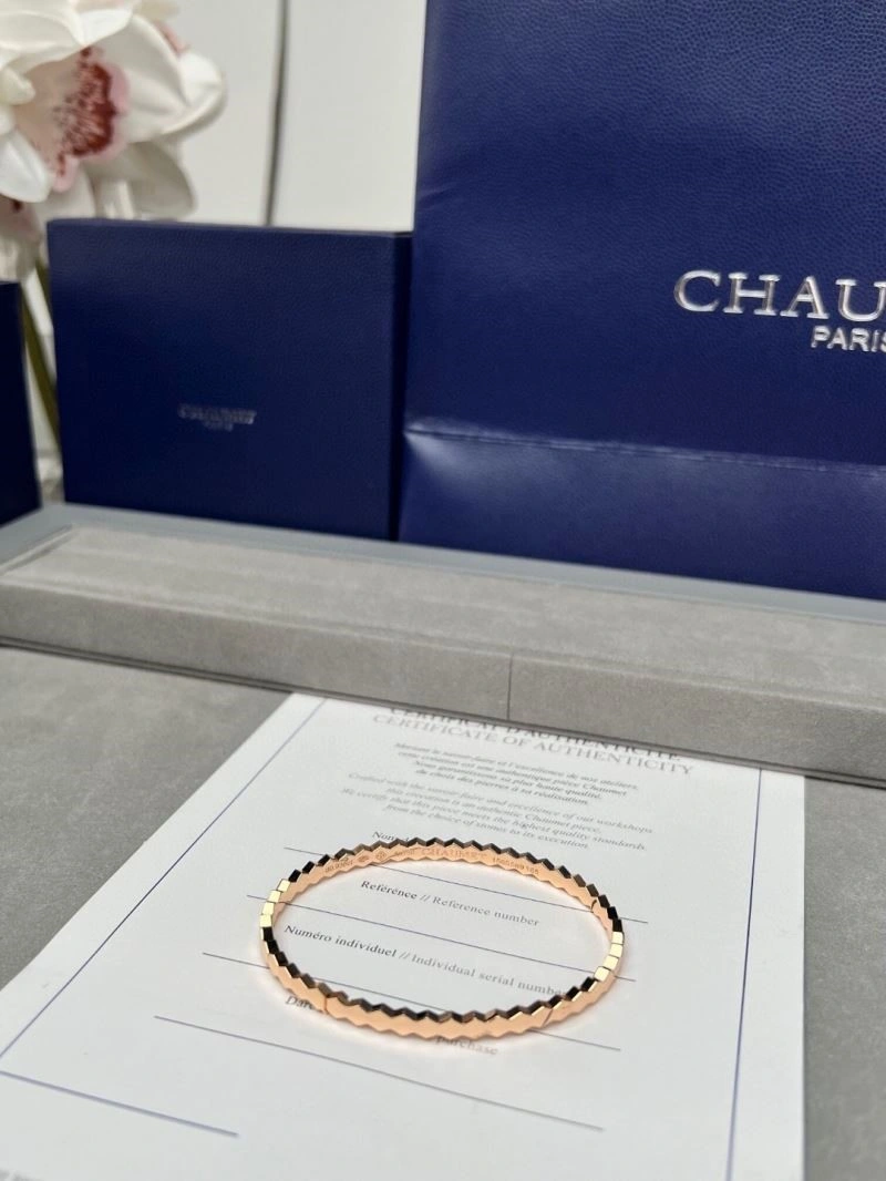 Chaumet Bracelets WeatherProof 210878
