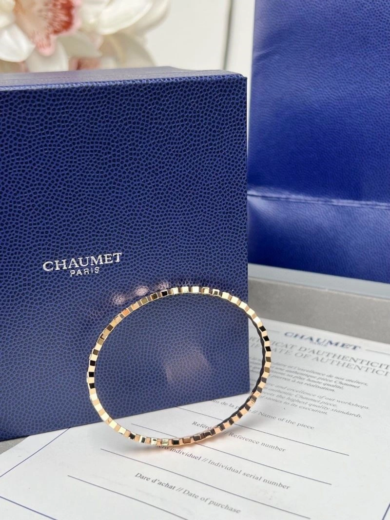 Chaumet Bracelets WeatherProof 210878
