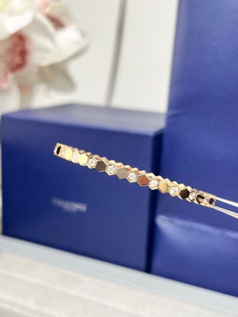 Chaumet Bracelets WeatherProof 210878
