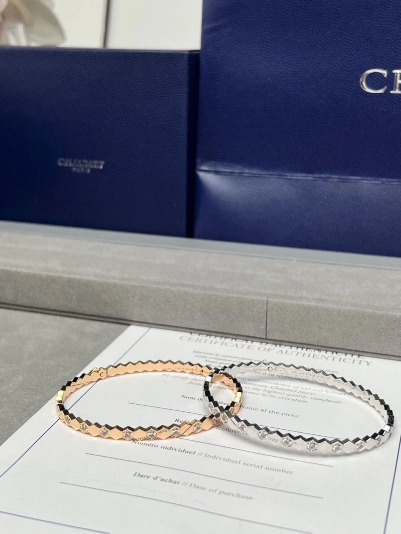Chaumet Bracelets WeatherProof 210878