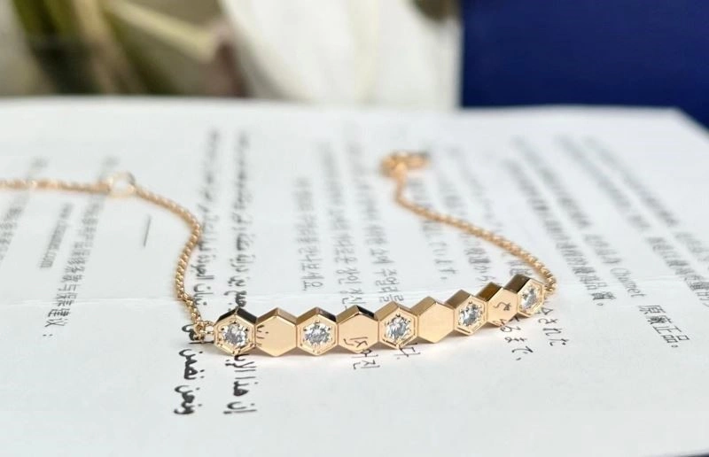 Chaumet Bracelets EasyCare 210879