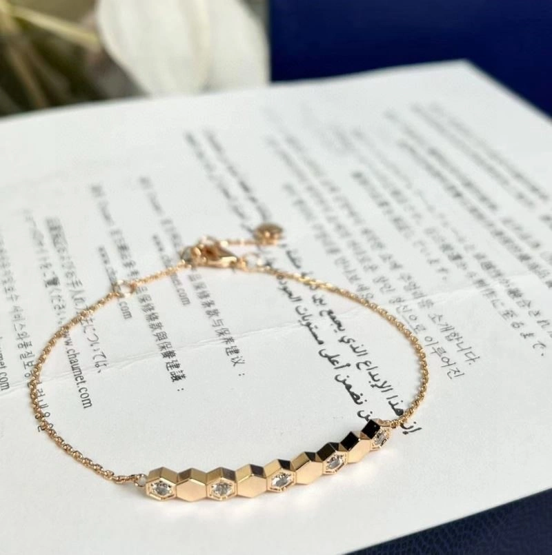 Chaumet Bracelets EasyCare 210879