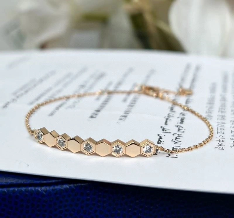 Chaumet Bracelets EasyCare 210879