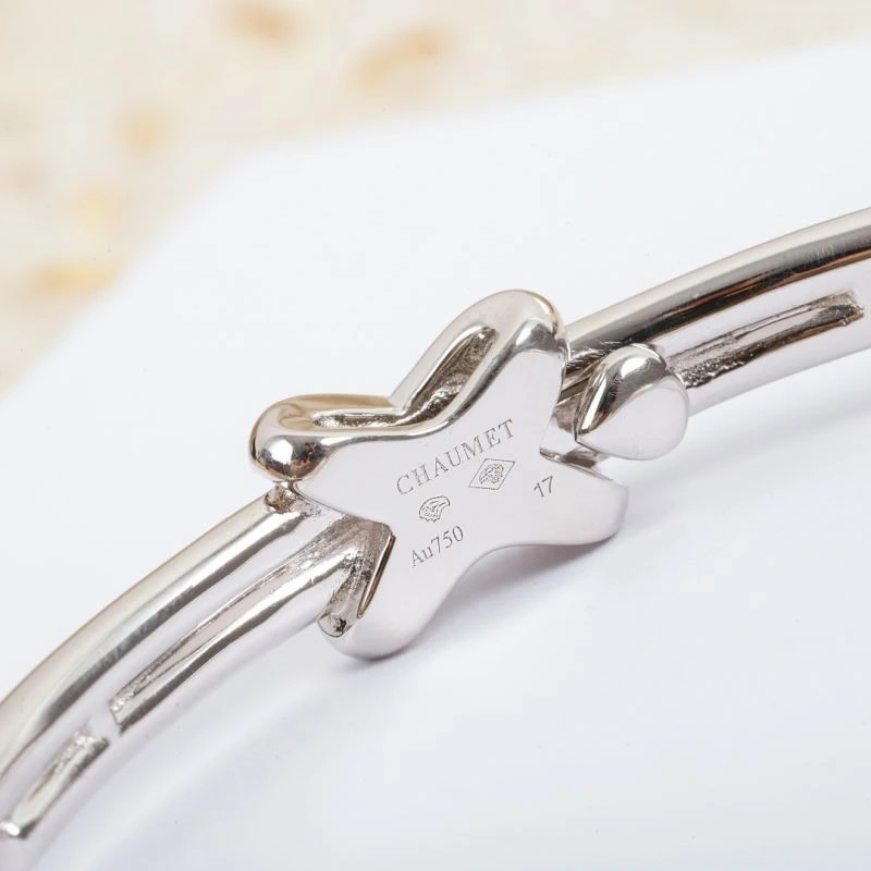 ModernLook Chaumet Bracelets 210864