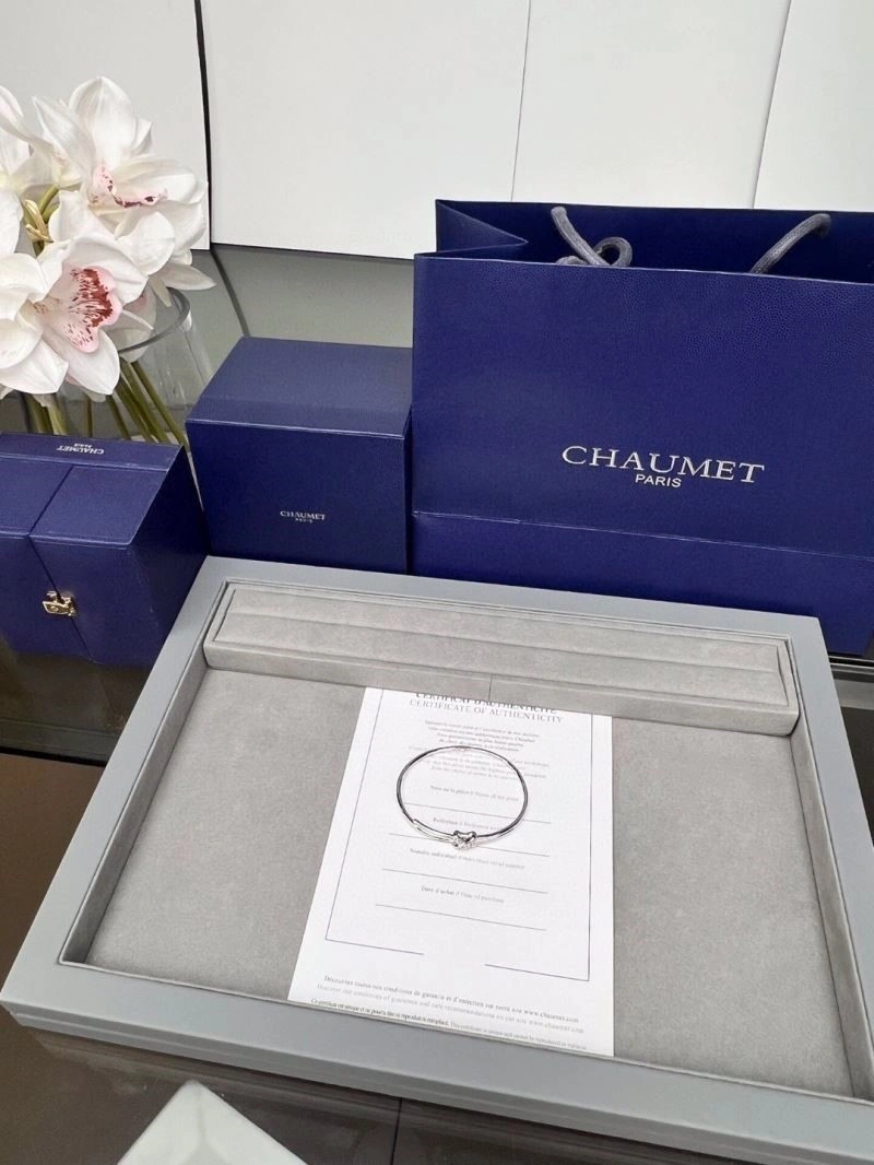 Chaumet Bracelets Resilient 210030