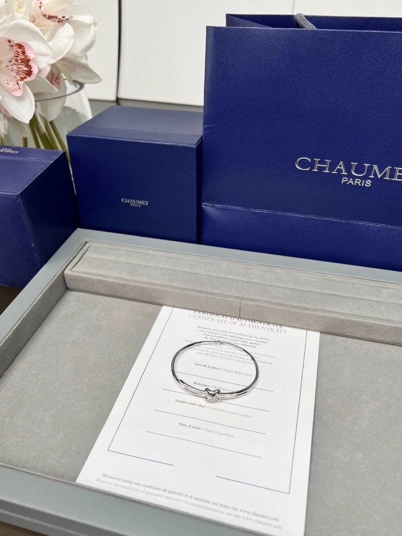 Chaumet Bracelets Resilient 210030