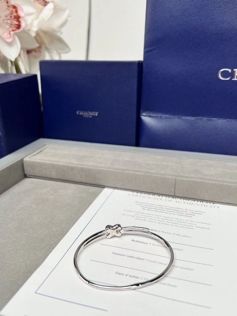 Chaumet Bracelets Resilient 210030