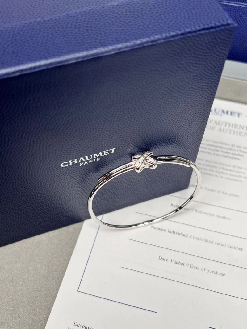 Chaumet Bracelets Resilient 210030