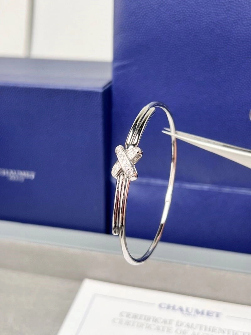 Chaumet Bracelets Resilient 210030