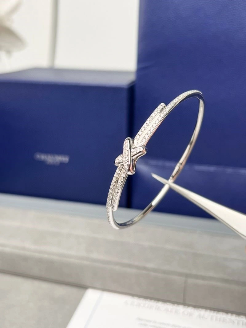 Chaumet Bracelets EyeCatching 210031