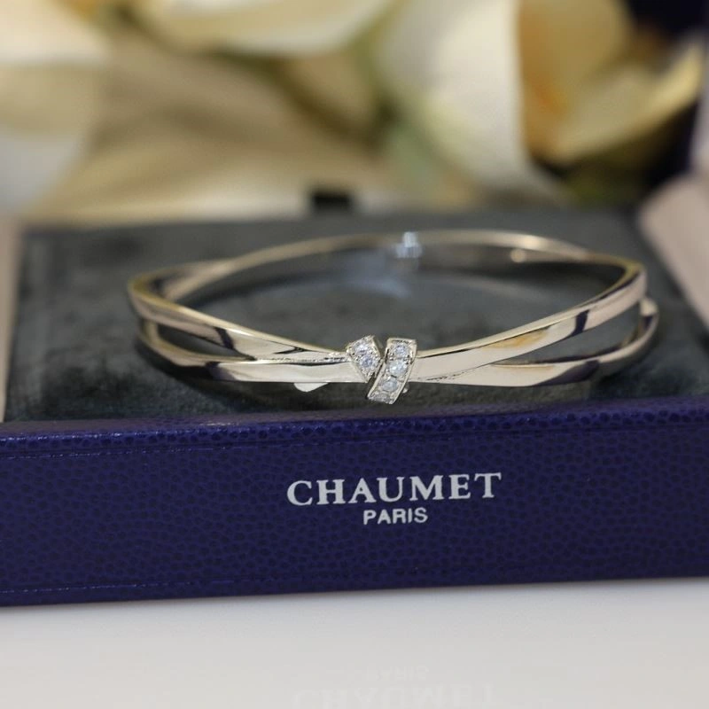 Chaumet Bracelets QuickDry 210007