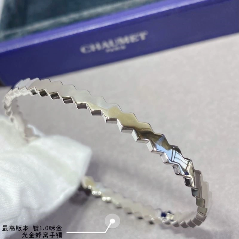 Chaumet Bracelets WaterResistant 210014