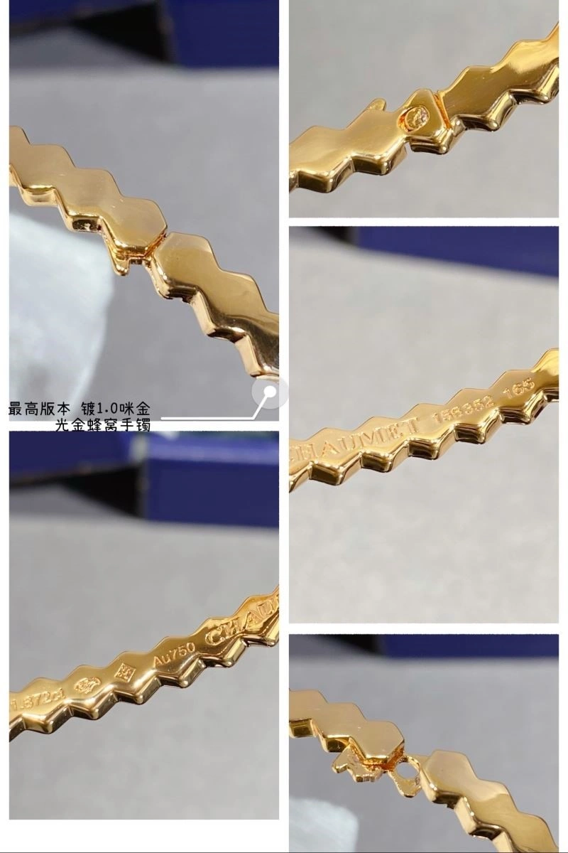 Chaumet Bracelets WaterResistant 210014